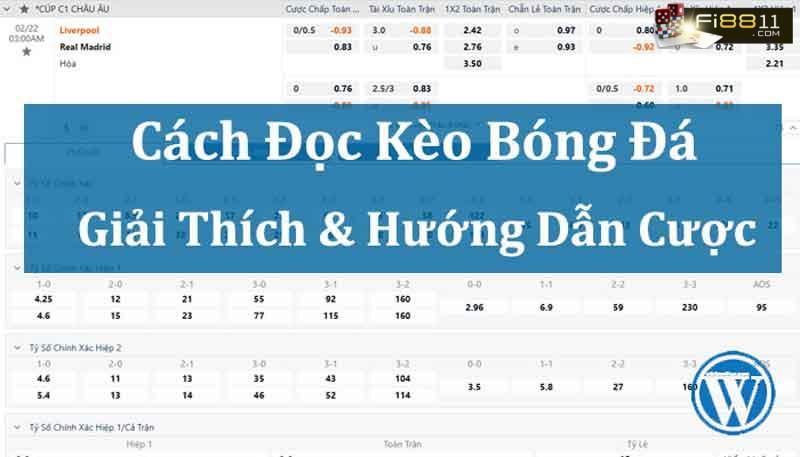 Kèo rung là gì? Bí quyết để sử dụng kèo rung một cách hiệu quả nhất! Kèo Rung Là Gì 8 Bí Quyết để Sử Dụng Kèo Rung Hiệu Quả Nhất 2